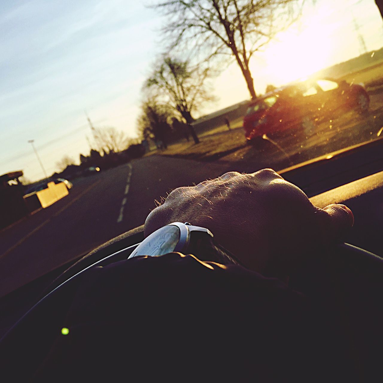 transportation, car, mode of transport, land vehicle, road, sunlight, sky, street, sunbeam, tree, sun, lens flare, on the move, day, outdoors, the way forward, road marking, animal themes, one animal, one person