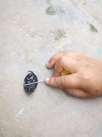 Close-up of hands on sand