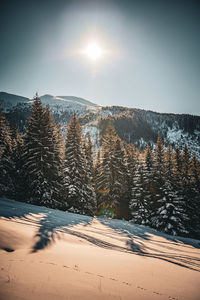 Scenic view of snowcapped mountains against sky during sunset