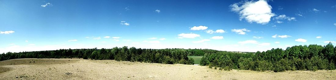 Panoramic view of forest against blue sky