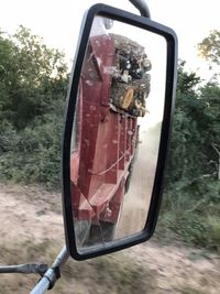 Reflection of trees on side-view mirror