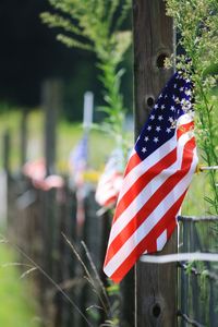 Close-up of flag against trees