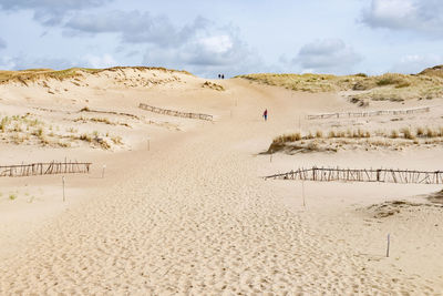 Tourists in wonderful nagliai nature reserve in neringa, lithuania. dead dunes, sand hills 