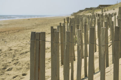 Close-up of wooden posts on beach against clear sky