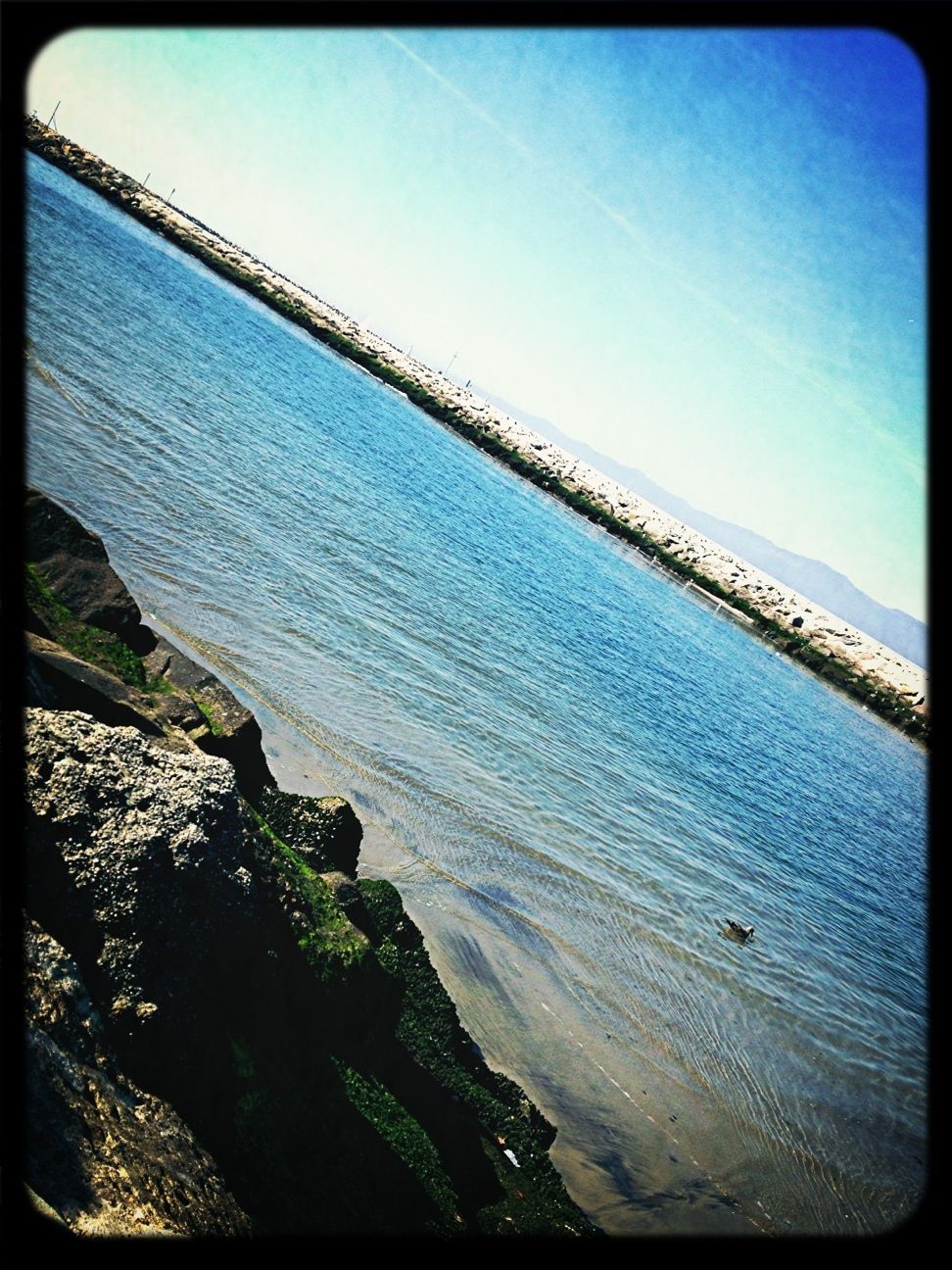 Marina Del Rey Harbor