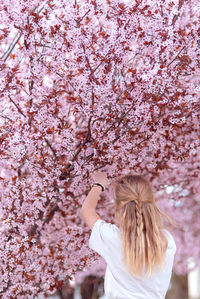 Side view of woman standing amidst cherry blossom