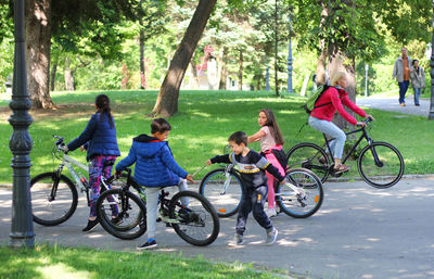 People riding bicycle in park