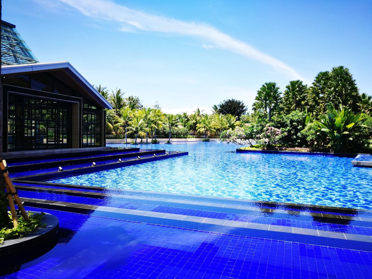 swimming pool, water, tree, blue, no people, architecture, luxury, outdoors, day, sky, sunlight, growth, nature, beauty in nature