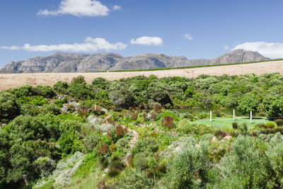 High angle view of townscape against sky