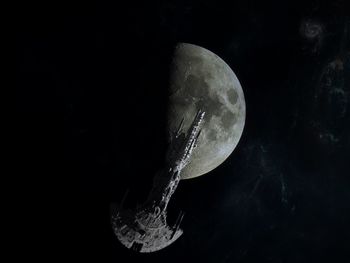 View of trees at night