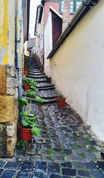 Steps amidst buildings