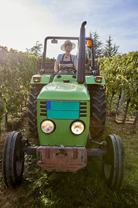 Mature farmer on tractor in vineyard