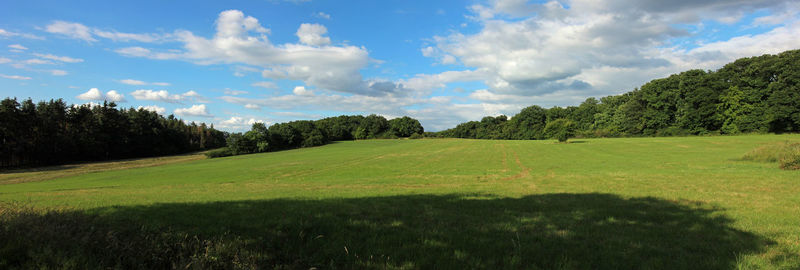 Panoramic view of trees on field against sky