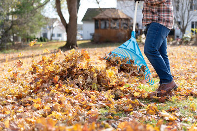 Low section of man standing on autumn leaves