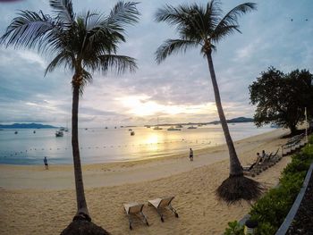 Palm trees on beach against sky during sunset