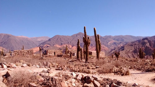 Panoramic view of desert against clear blue sky