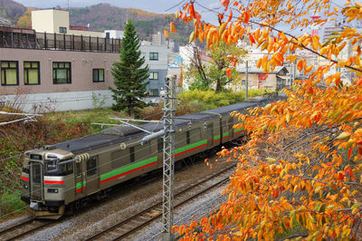 Autumn leaves and local train