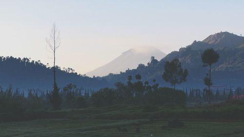 Scenic view of landscape against clear sky