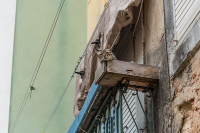 Low angle view of construction site by building