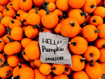 High angle view of pumpkins for sale at market stall