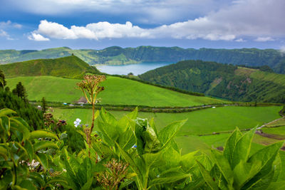 Scenic view of landscape against sky