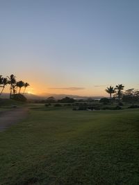 Scenic view of palm trees on field against sky at sunset