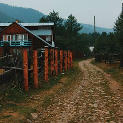 View of trees along built structures