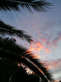 Silhouette palm trees against sky during sunset