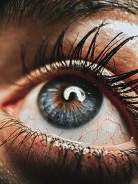 Close-up of human eye