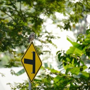 Low angle view of road sign against trees