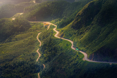 High angle view of road amidst trees