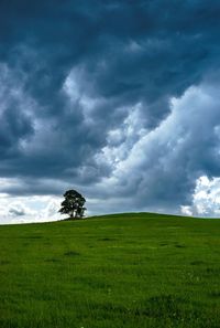 Scenic view of grassy field against cloudy sky