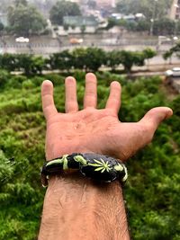 Close-up of human hand against plants