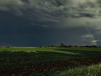 Scenic view of field against sky