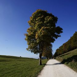 Empty road amidst trees on field against clear blue sky