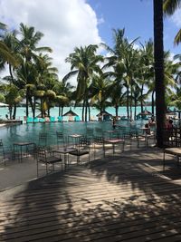 Palm trees on swimming pool