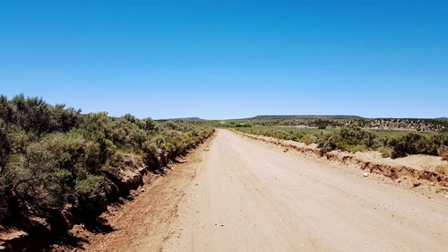 Road amidst trees against clear blue sky