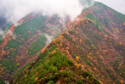 High angle view of mountain landscape with fall colors