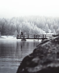 Scenic view of lake by trees against clear sky during winter