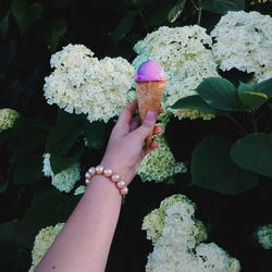 Close-up of hand holding ice cream cone against flowers