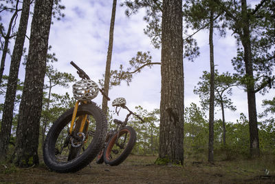 Two mountain bikes with helmets in the forest.