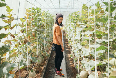 Woman standing amidst plants in greenhouse
