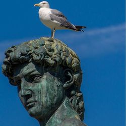 Pigeon perching on railing