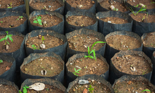 Full frame shot of stones