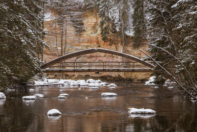 Arch bridge over river in forest during winter