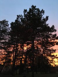 Low angle view of silhouette trees against sky at sunset