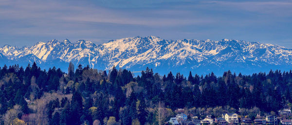 mountain