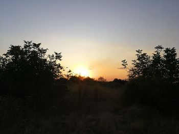 Silhouette trees on field against sky at sunset