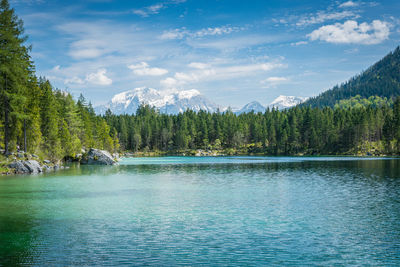 Scenic view of lake in forest against sky