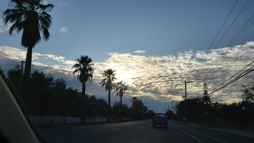 Road by trees against sky in city